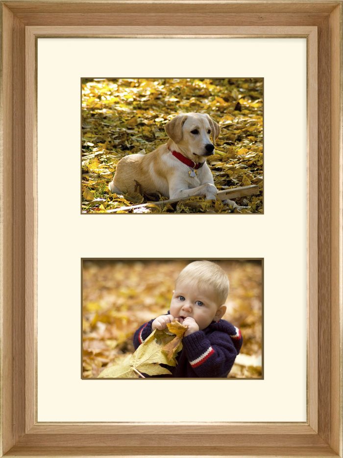 Baby and Dog in Leaves Framed
